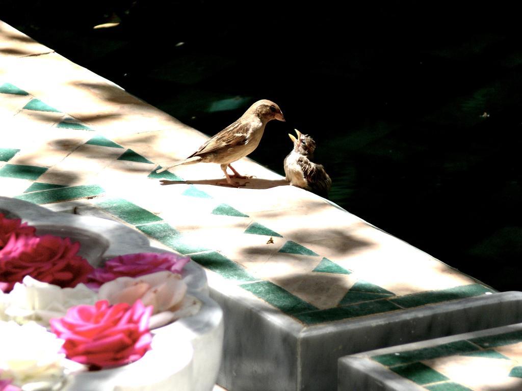 Riad El Mezouar Marrakesh Exterior photo